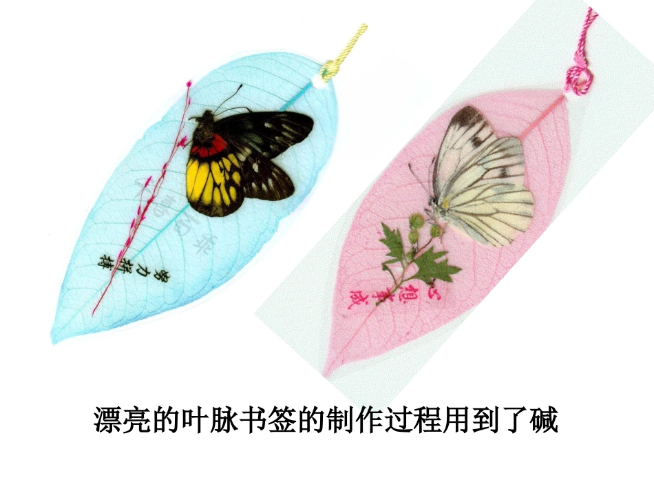 人教版九年级化学下册第十单元课题1常见的酸和碱第三课时课件_第1页