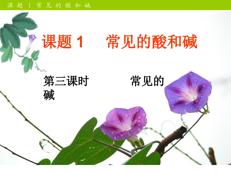 人教版九年级化学下册第十单元课题1常见的酸和碱第三课时课件_第2页