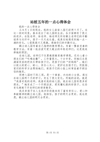 站桩五年的一点心得体会