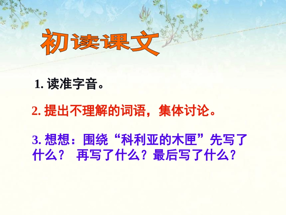 《科利亚的木匣》课件1_第3页