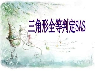 全等三角形判定SAS 
