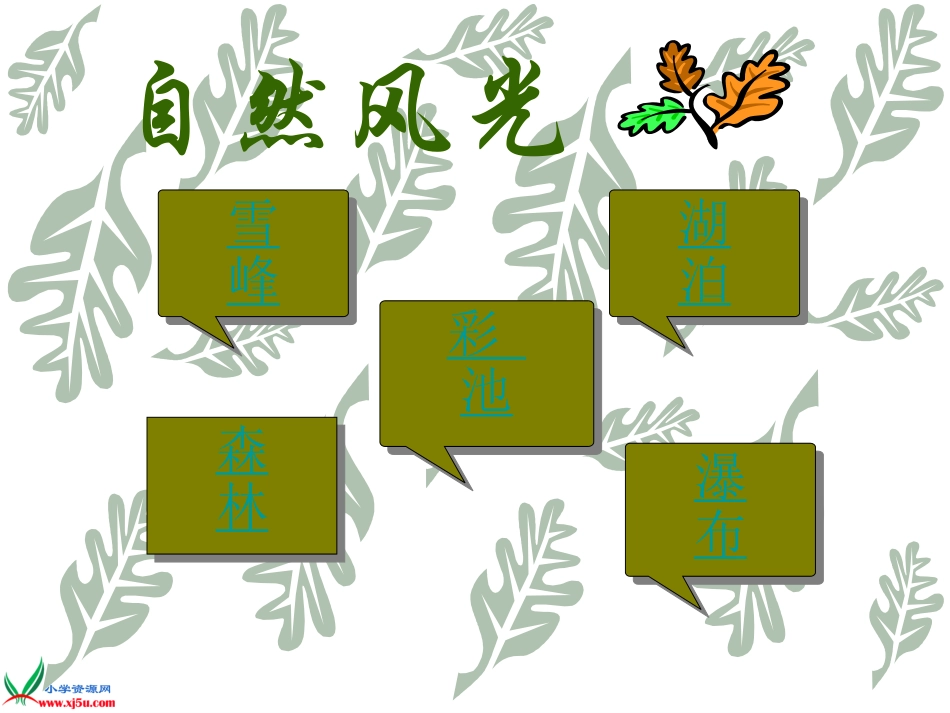 苏教版语文四年级上《九寨沟》第一课时_第3页