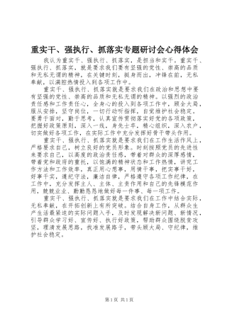 重实干、强执行、抓落实专题研讨会心得体会