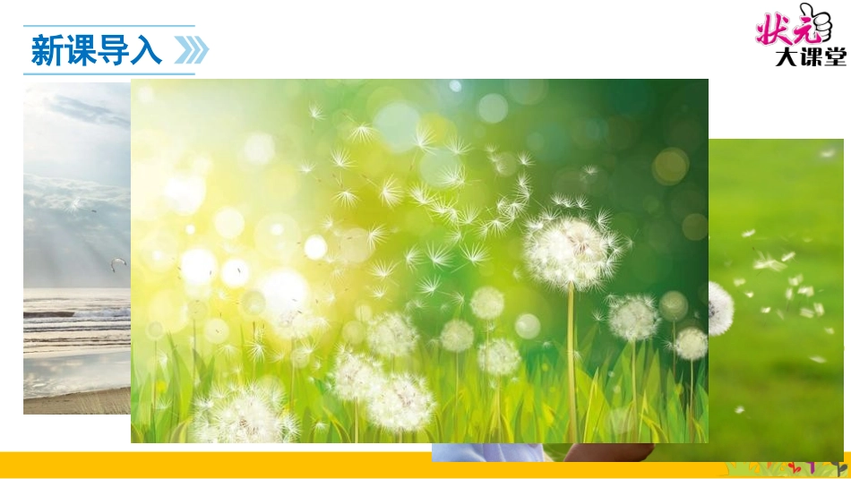 植物妈妈有办法 (4)_第3页