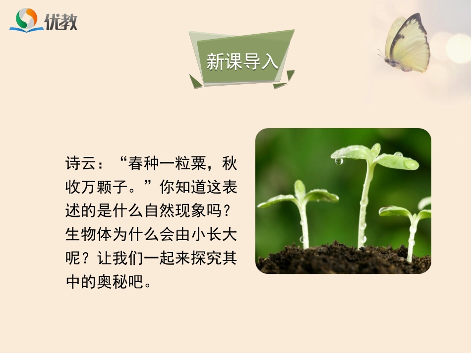 《细胞通过分裂产生新细胞》优教课件1_第3页