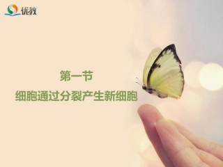 《细胞通过分裂产生新细胞》优教课件1