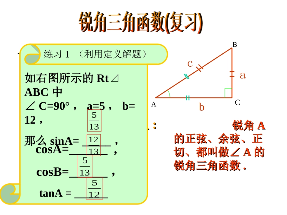 锐角三角函数复习1_第2页