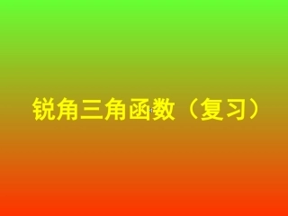 锐角三角函数复习1