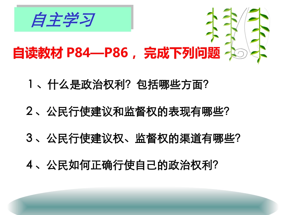 依法行使政治权利（公开课）_第3页