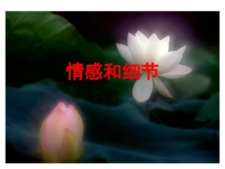 荷（情感和细节）