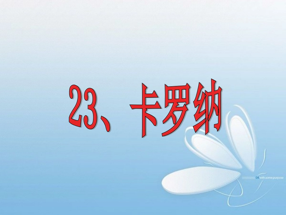卡罗纳课件修改_第3页