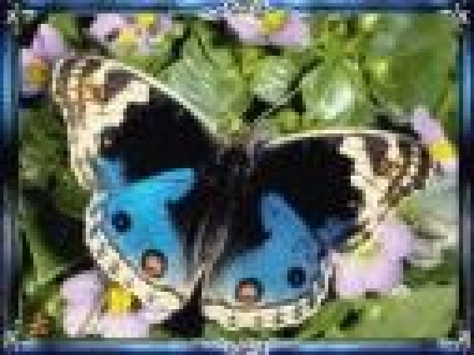 二年级下册轴对称图形_第3页