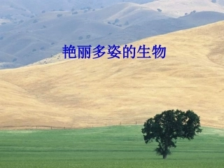 科学：第五章第1节艳丽多姿的生物（华师大版七年级上）