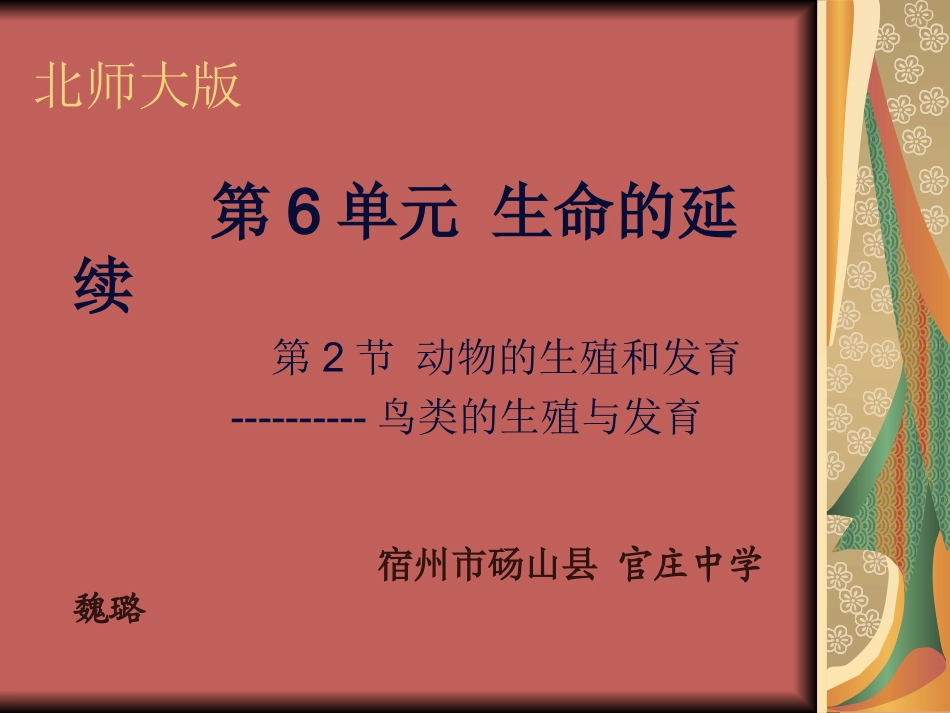 鸟的生殖和发育 (2)_第1页