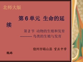 鸟的生殖和发育 (2)