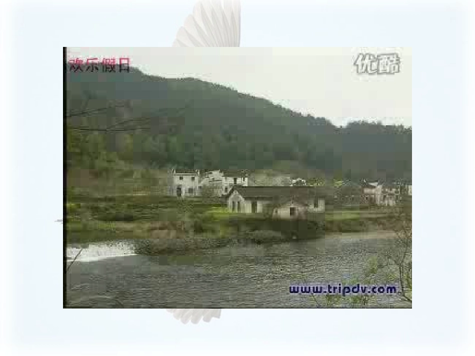 最后一只白鹭鸶_第3页