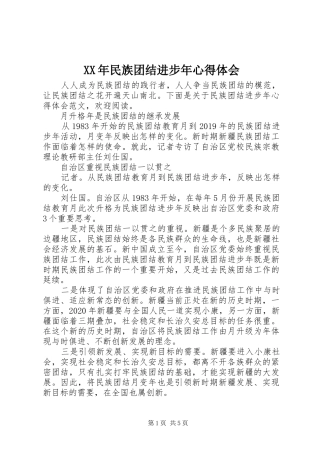 XX年民族团结进步年心得体会
