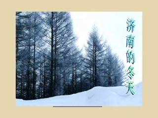 济南的冬天课件()