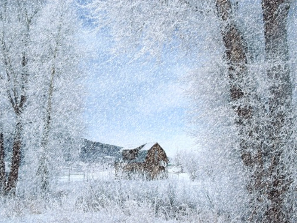 雪花带来冬天的梦_第2页