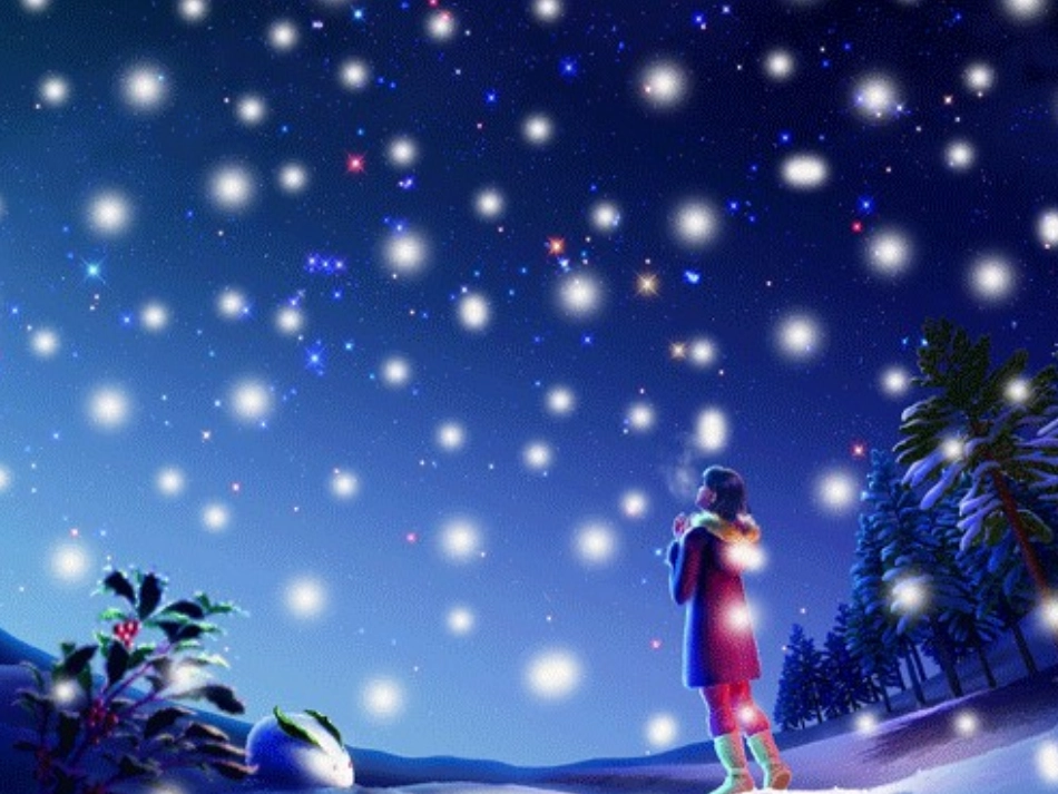 雪花带来冬天的梦_第3页