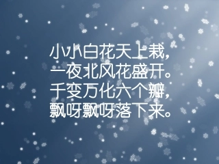 雪花带来冬天的梦