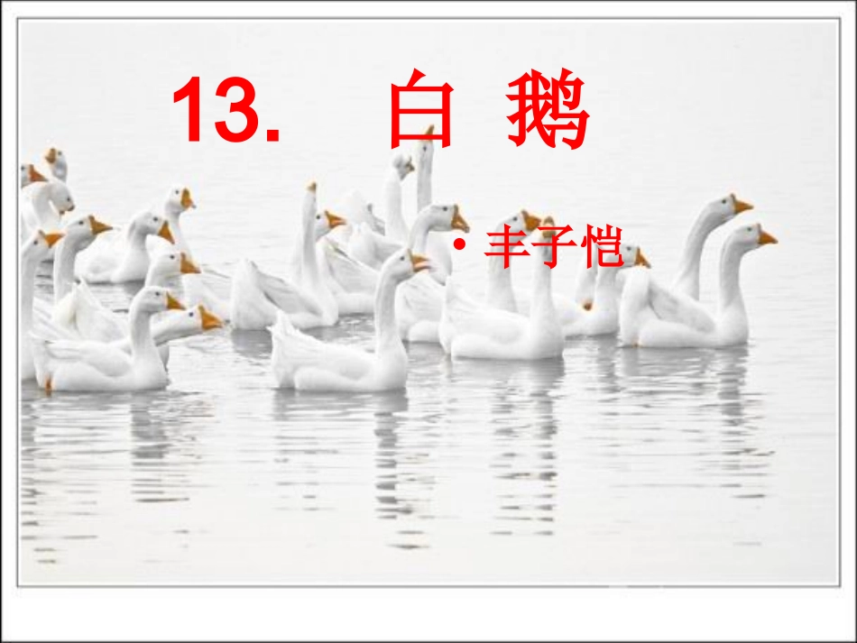 《白鹅》课件5_第2页