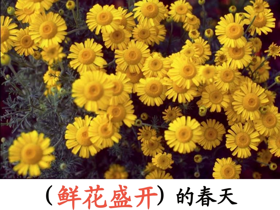 四年级《巨人的花园》课件1 (2)_第3页