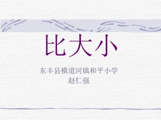 东丰县横道河镇和平小学赵仁强比大小