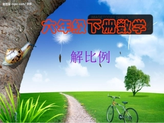 六年级数学下册第三单元解比例课件