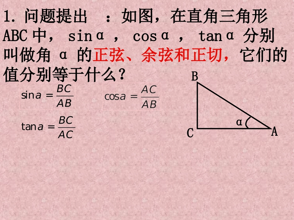数学：1．2．1《任意角的三角函数》PPT课件（新人教A版必修4）_第3页