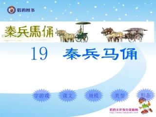 秦兵马俑教学课件