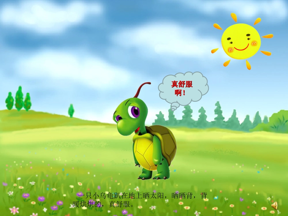 《小乌龟晒太阳》_第3页