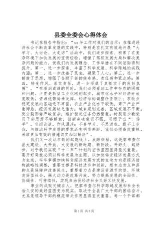 县委全委会心得体会