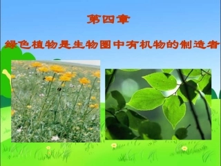 新人教版七年级上册（2012年秋）第三单元第四章全章课件+绿色植物是生物圈中有机物的制造者1（共30张PPT）