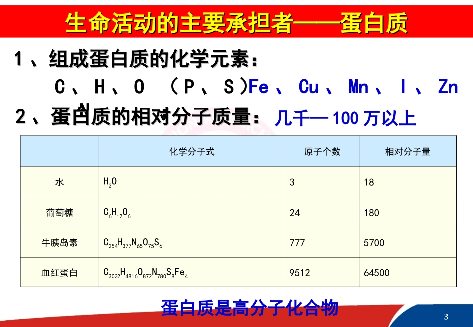 蛋白质（课件）_第3页