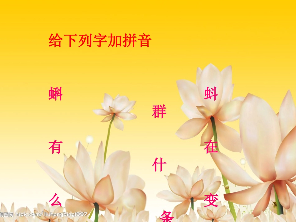 小蝌蚪找妈妈2_第3页