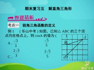 期末复习五　解直角三角形