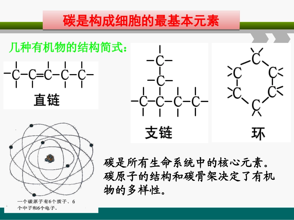 糖类和脂质核酸_第2页