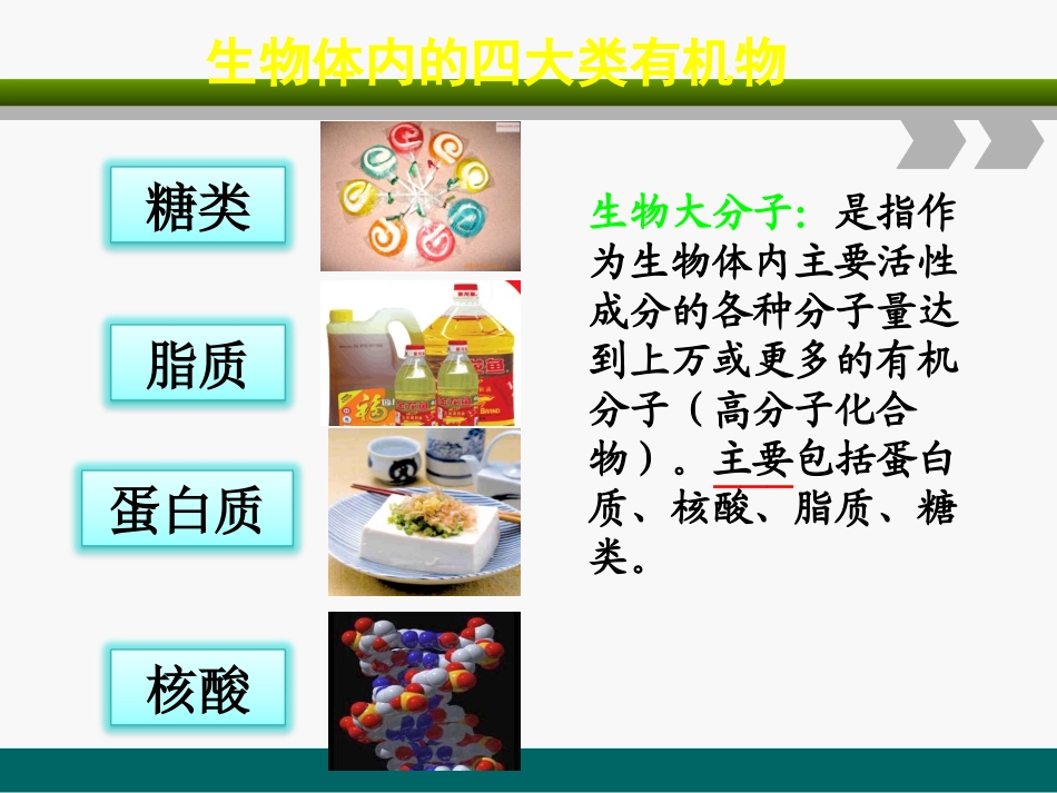 糖类和脂质核酸_第3页