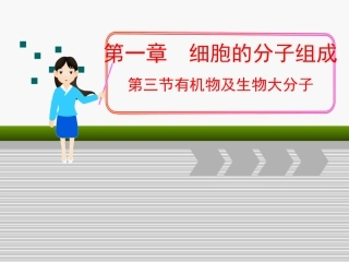 糖类和脂质核酸