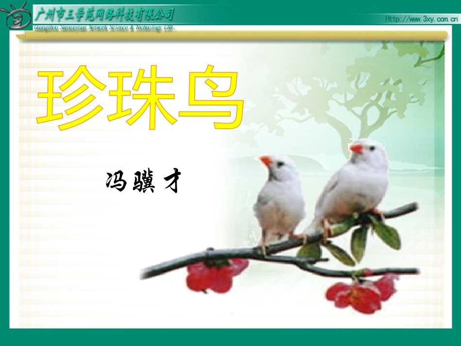 《珍珠鸟》自制课件_第1页