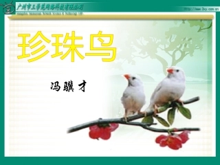 《珍珠鸟》自制课件