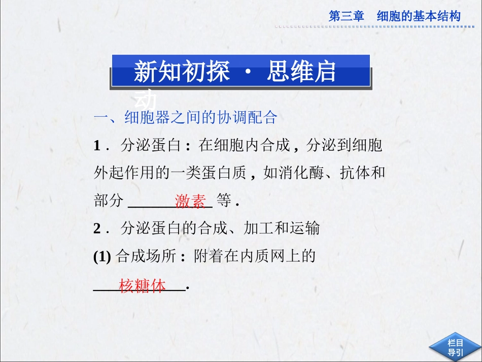 第三章第2节第二课时_第3页