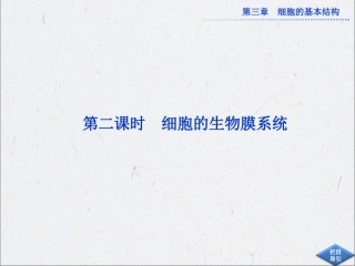 第三章第2节第二课时