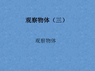 观察物体（三）