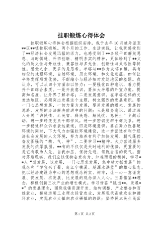 挂职锻炼心得体会