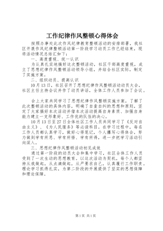 工作纪律作风整顿心得体会