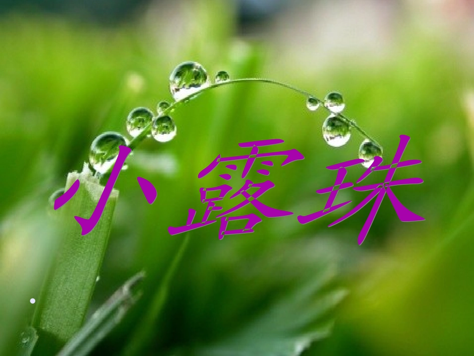 三年级上册《小露珠》课件03_第1页