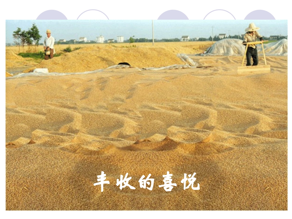 圆锥的体积谭广鑫_第2页