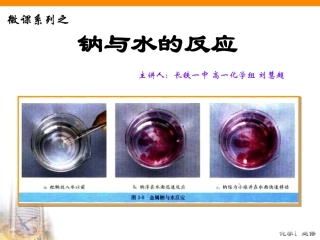 钠与水的反应